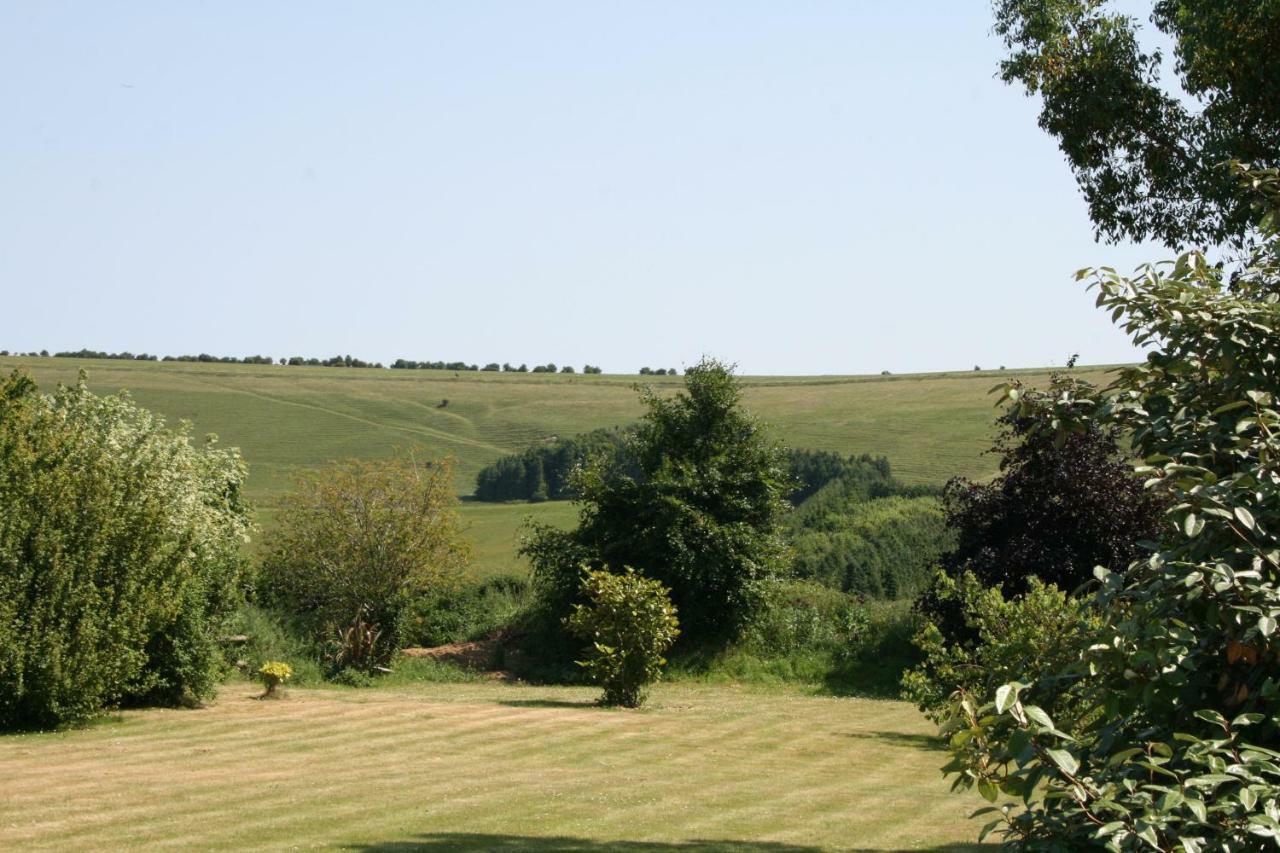 Spacious Swallow Cottage Tisbury Zewnętrze zdjęcie