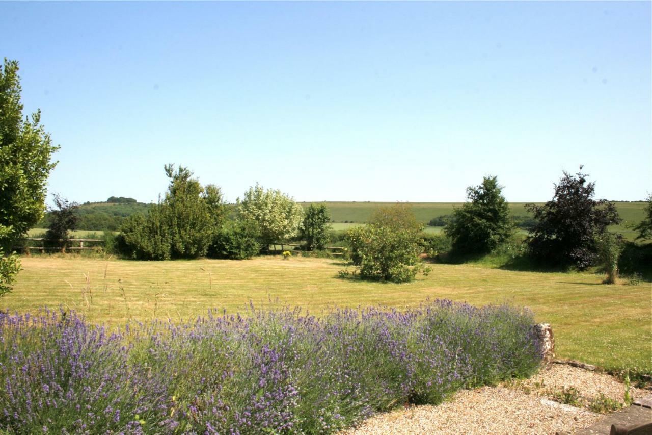 Spacious Swallow Cottage Tisbury Zewnętrze zdjęcie