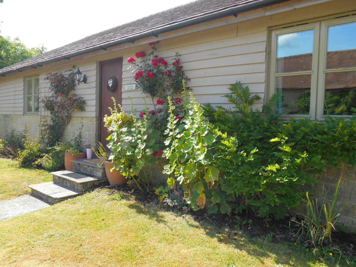 Spacious Swallow Cottage Tisbury Zewnętrze zdjęcie